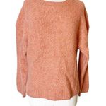 Everlane  Coral Pink Teddy Wool Blend Crewneck Sweater Size Large Photo 6