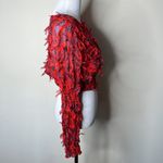 ZARA Red Fringe Long Sleeve Crop Top Photo 6