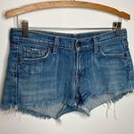 Citizens of Humanity cut Off jean shorts size 28 Photo 0