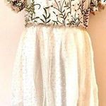 Belle Terre Cream, Blush, Tan, Green Lace Embroidered Floral Dot Tulle Dress. Pink Size XXL Photo 0