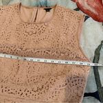 Ann Taylor  Lace Sleeveless Top in Beige Photo 13