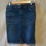 Pilcro Blue Knee-length Pencil Skirt for Casual Work Photo 0