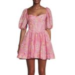 Bardot Kiah Corset Mini Dress in Pink Garden Photo 1