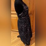 Babaton  Aritzia Braylin Marigold Lace Overlay A-Line Midi‎ Dress Black Size 10 Photo 6