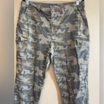 Falls Creek  Gray and Green Cargo Pants Relaxed Fit Photo 1