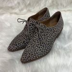 Lucky Brand Erreka Lace-Up Leather Oxford Titanium Romo Leopard Size 7.5 BIN 16 Photo 1