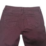 Driftwood  Jackie skinny jeans Embroidered Size 28 Marroon Photo 5
