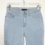 J.Crew Mercantile Blue & White Striped High Rise Ankle Skinny Jeans Photo 3