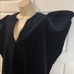 Tanya Taylor  velvet wing Sample dress size 4 Photo 4