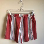 Sadie and Sage  medium orange stretchy shorts Photo 2