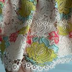 Anthropologie | Hutch gardenia lace crochet overlay ruffle skirt Photo 5