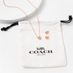 Coach Tea Rose Necklace and Earring Set Photo 5
