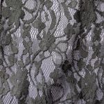 BCBGeneration Lace Dress Photo 1