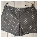Ann Taylor  Gray with White Dots Casual Shorts, A32 Photo 5