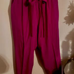 Haute Hippie  Silk Pants sz S Photo 0
