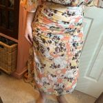 Amuse Society Skirt Photo 3