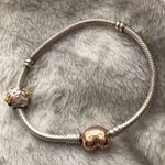 Pandora Bracelet & Charm Photo 0