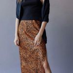 Urban Outfitters Edy Satin Midi Skirt NWT Size S Photo 0