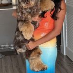 RUNAWAY THE LABEL  Dress Photo 0