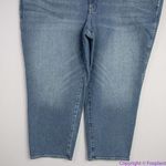 Madewell NEW Plus Stovepipe Jeans in Euclid Wash, 28W Photo 3