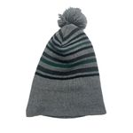 Gray Striped Knit Pom Photo 1