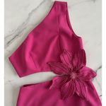 PatBo Flower Appliqué dress Cut Photo 9