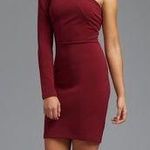 Dynamite Maroon One Shoulder Dress Photo 0