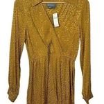 Anthropologie NWT  Long-Sleeve Mini Dress in Bronze Leopard Print Size XS Photo 6
