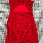 Windsor Dress Photo 3