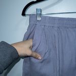 Madewell  Faded Lavender Purple Linen-Blend Pull-On Tapered Pants Medium Petite Photo 2