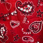 Liz & Me Red Paisley Cotton Capri Pants Plus Size 3X 26/28 Photo 2