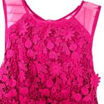 Anthropologie Thistlepearl red floral lace mini dress size 4 Photo 9