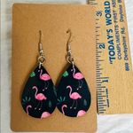 Flamingo  Pink And Black Teardrop Dangle Pierced Earrings Photo 1