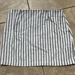 Ivy and Main  Skirt Photo 1