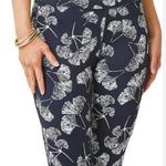 Carve Designs NWOT  Sanitas Hi Rise Leggings Black Small Photo 0