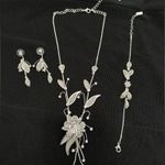 🦋NWOT Gorgeous Silver Flower Crystal Set Photo 1
