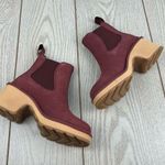 Sorel Women's Hi-Line Heel Chelsea Boots US5 Spice, Tawny Buff $190 Photo 3