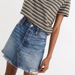 Madewell  Rigid Denim A-Line Button Fly Mini Jean Skirt Destructed Edition 26 Photo 0
