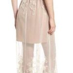 WAYF Clara Mesh Illusion Maxi Dress Photo 1