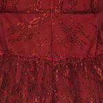 Tularosa  Clara lace dress Photo 3