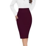 Iris  Pencil Skirt Photo 1