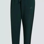 Adidas  Women's Tiro 19 Training Pants Green Night Size Small NWT! Photo 1