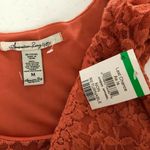American Rag  Shift Dress 3/4 Sleeve Lace Overlay Floral Scoop Neck Orange M Photo 2