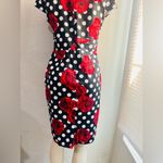 Grace Karin  Red roses and black and white polka dots dress. Tea dress L Photo 10
