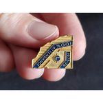 Vintage Lions Club 100% Attendance Award Lapel Pin 1975 1976 California Nevada Photo 2