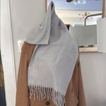 Style & Co Elegant Light Gray Fringe Scarf Photo 2