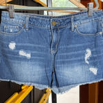 Calvin Klein Jeans  Blue Distressed Shorts Size 26 Photo 0