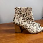 1. State NWOT  Kelte Pointed Toe Ankle Bootie Snake Skin Block Heel Side Zip 7.5 Photo 1