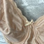 Givenchy  Champagne Print Lace Bra Photo 1
