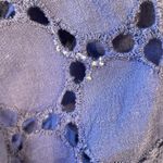 Vintage Dream Beach Women's Eyelet Tunic Cover Photo 5